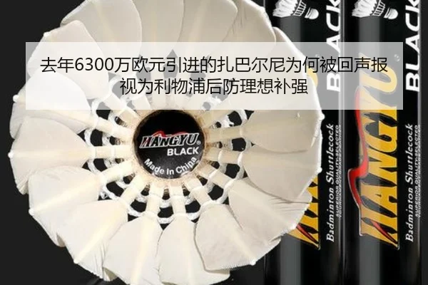 去年6300万欧元引进的扎巴尔尼为何被回声报视为利物浦后防理想补强